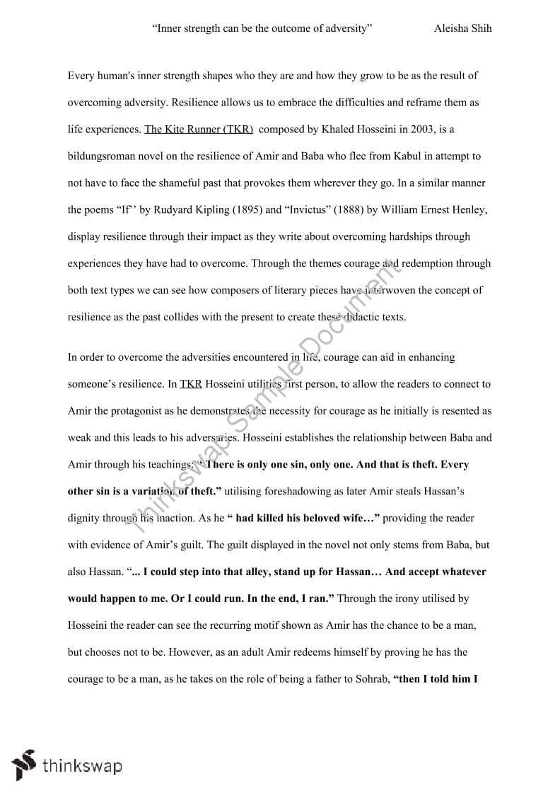 The Kite Runner Essay Examples - Free Research Papers on blogger.com