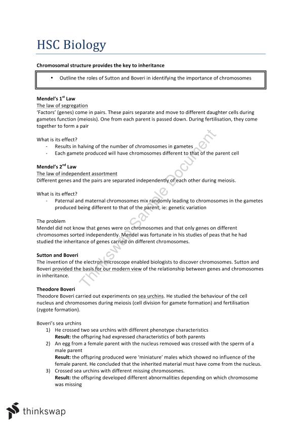 Blueprint of Life | Biology - Year 12 HSC | Thinkswap