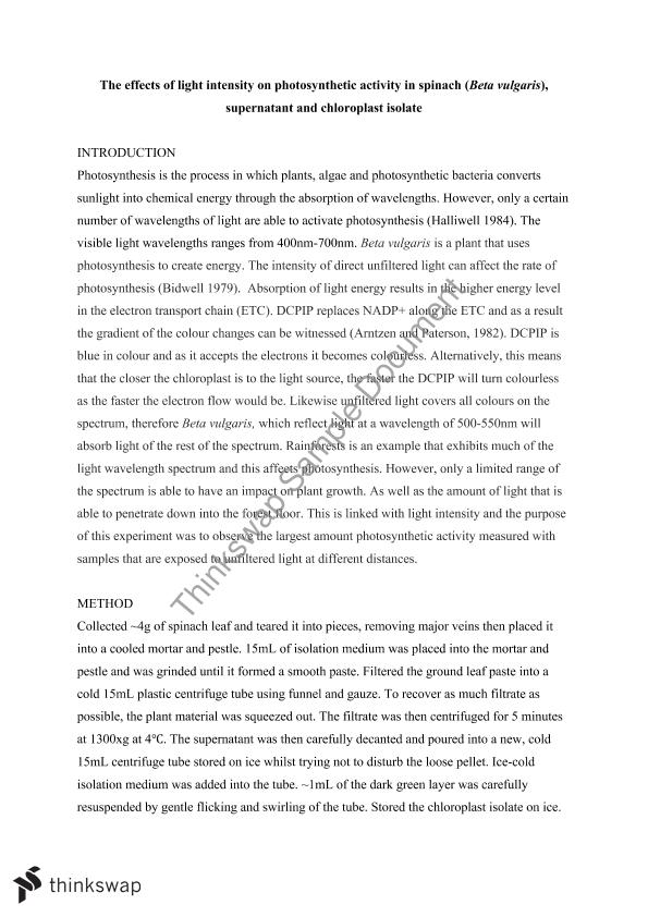 photosynthesis short essay