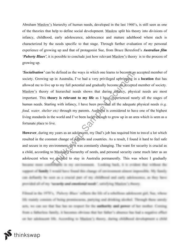 social needs essay