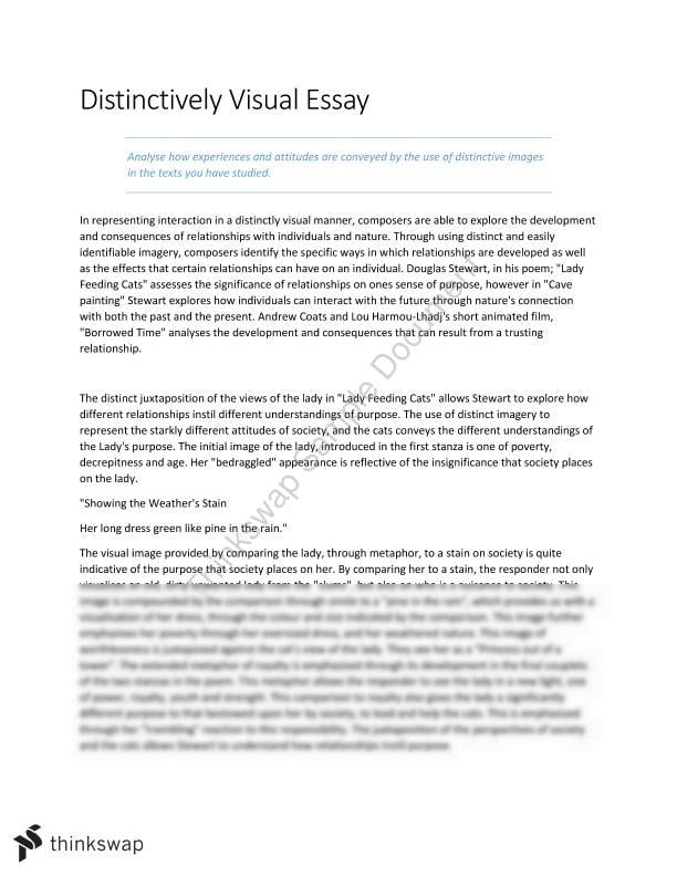 Distinctly visual essay questions