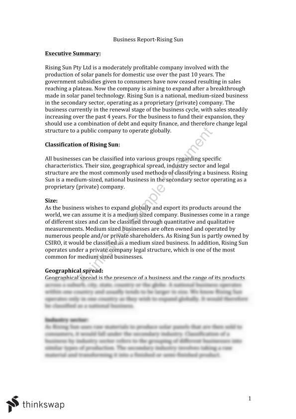 Year 11 Business Report Year 11 HSC Business Studies