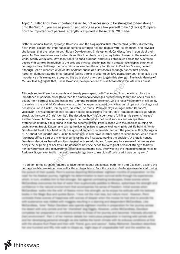 into the wild essay