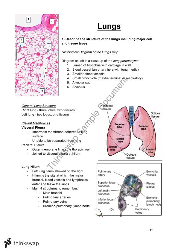 Major Body Structures | DEV2022 - Principles of Organ and Body Design