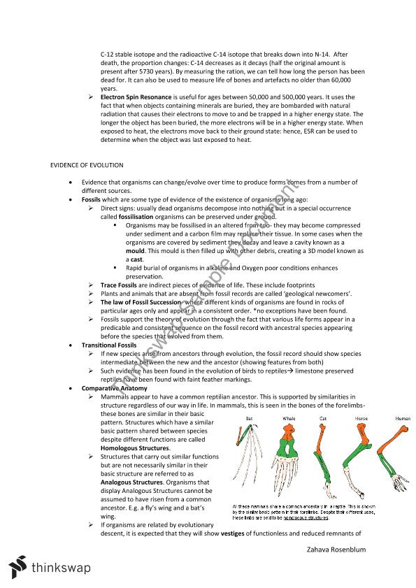 Biology Summary Notes  Biology  Year 12 VCE  Thinkswap