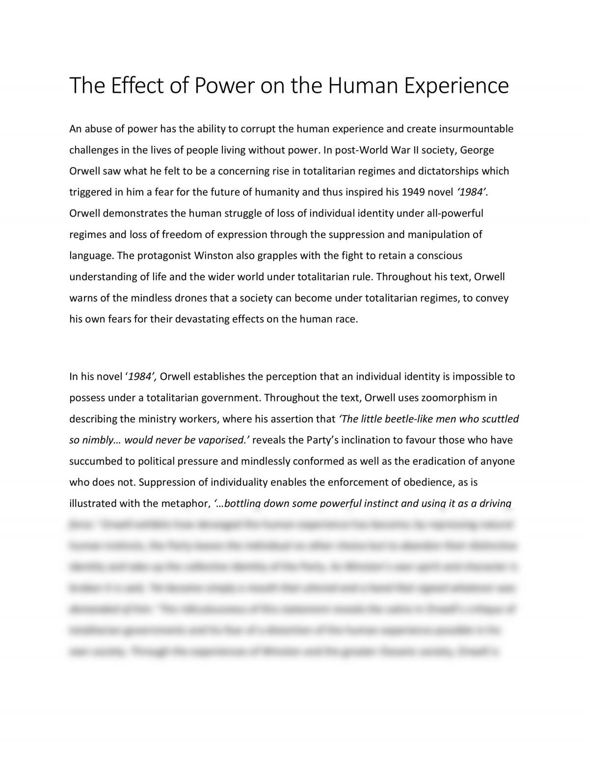 human experience essay