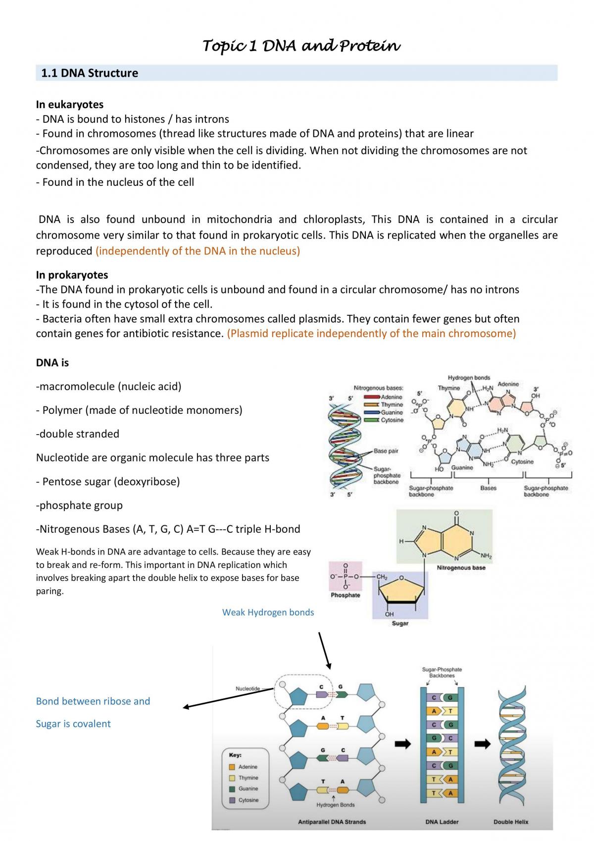 Biology Notes For Topic 1 Biology Year 12 Sace Thinkswap 4350