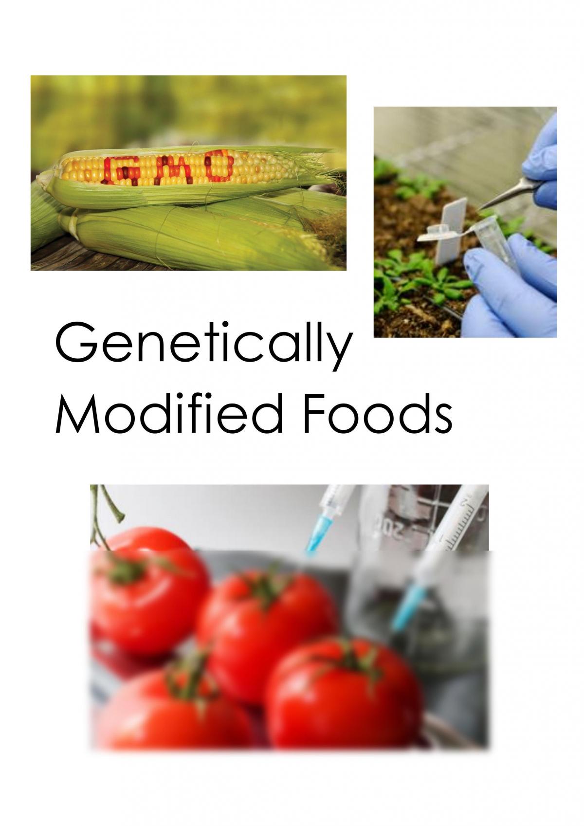 argumentative essay against genetically modified foods