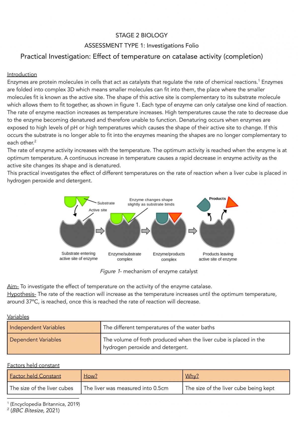 bio enzyme research paper