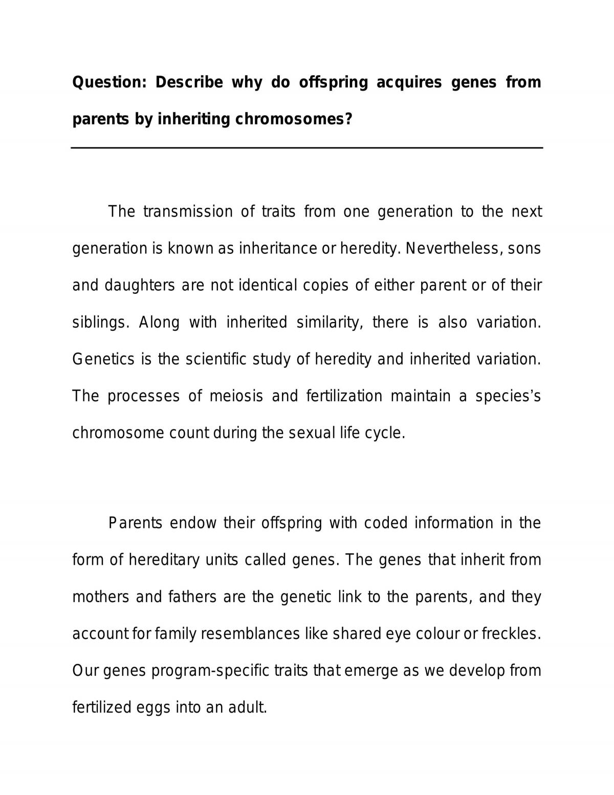 essay about genes