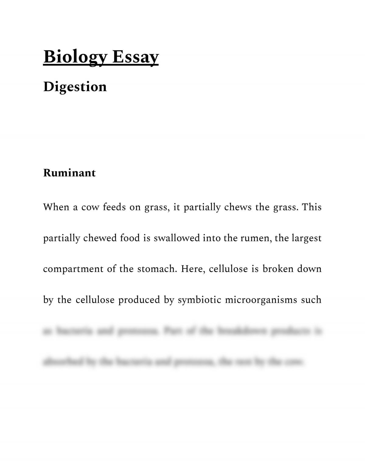 biology essay revision