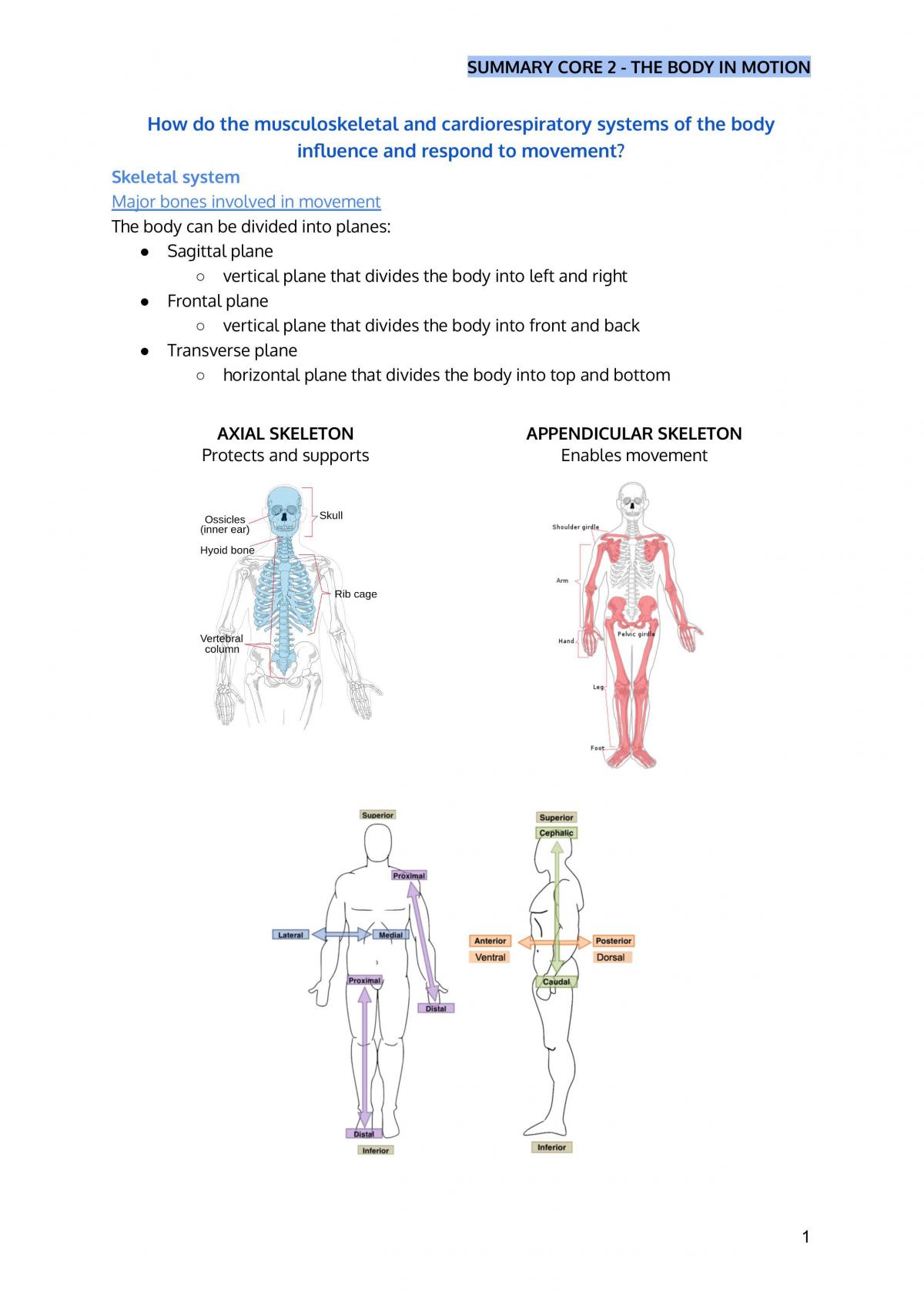 Prelim PDHPE - Core 2 The Body in Motion, Personal Development, Health and  Physical Education - Year 11 HSC