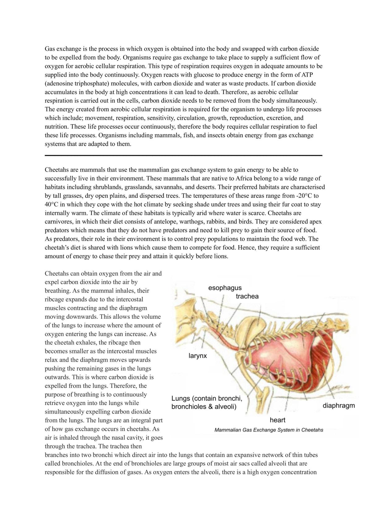 ncea-level-2-biology-as91155-excellence-exemplar-biology-level-2