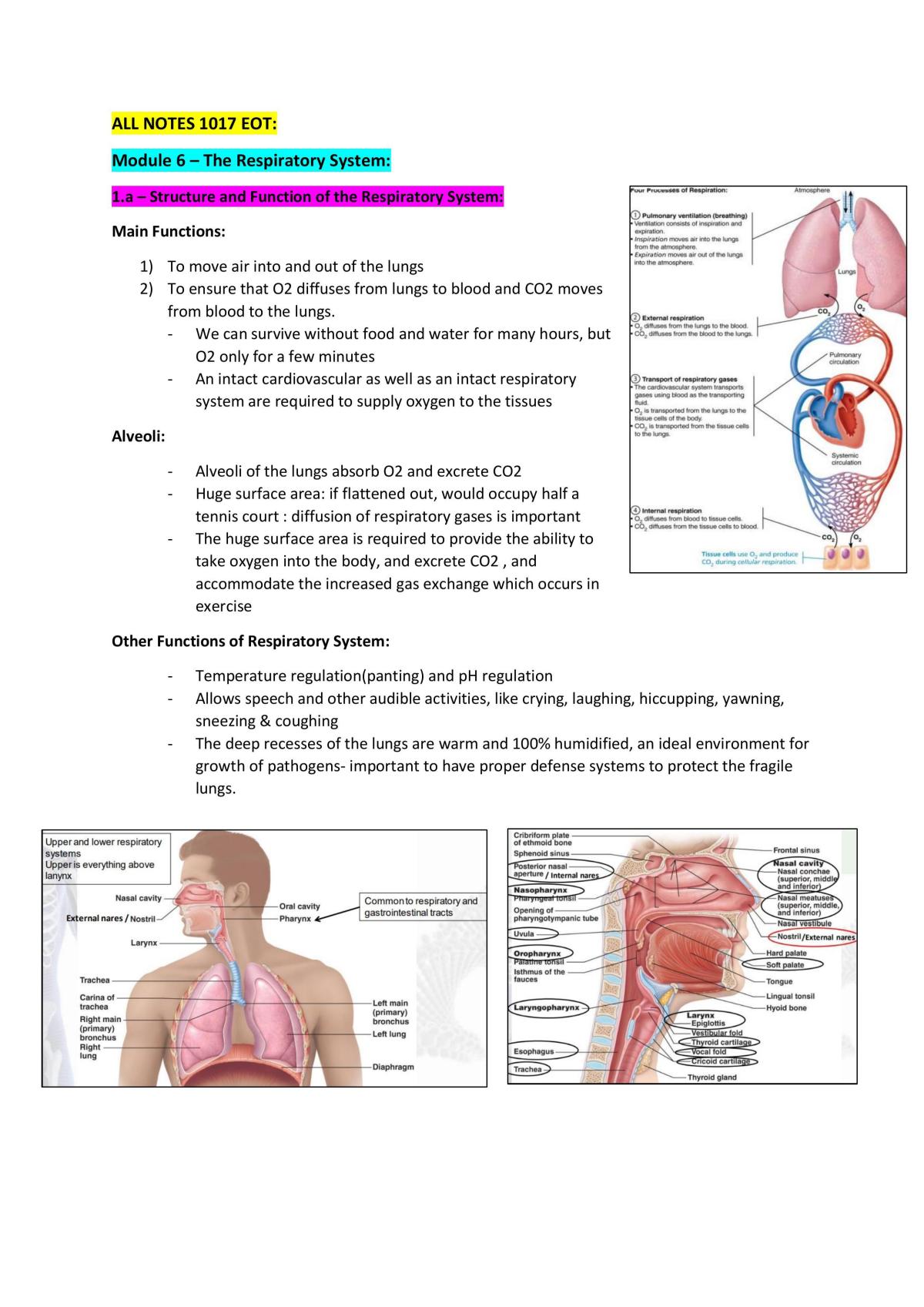 EOT Exam Notes | 1017MSC - Anatomy & Physiology Systems II - Griffith ...