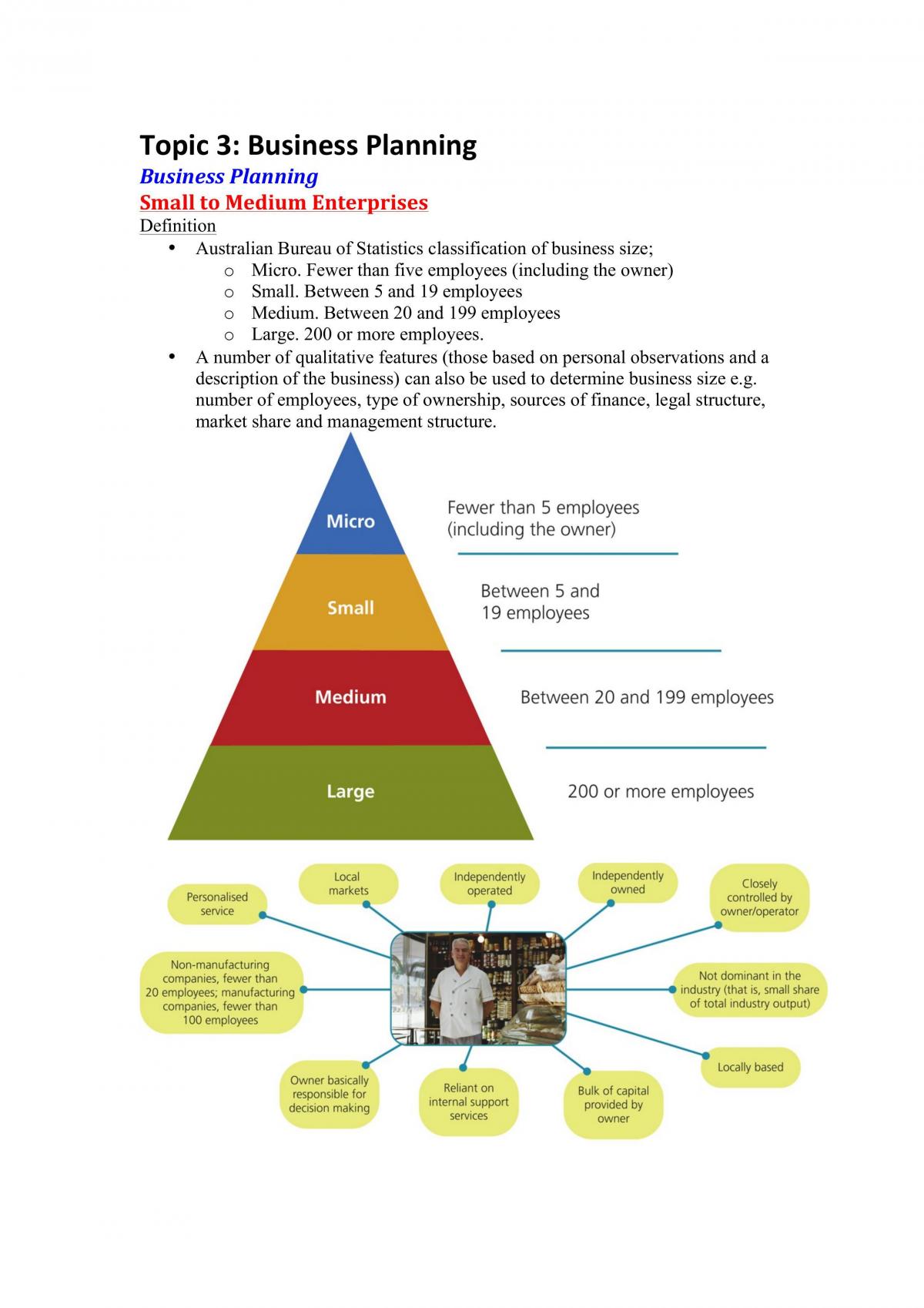 what is preliminary business plan