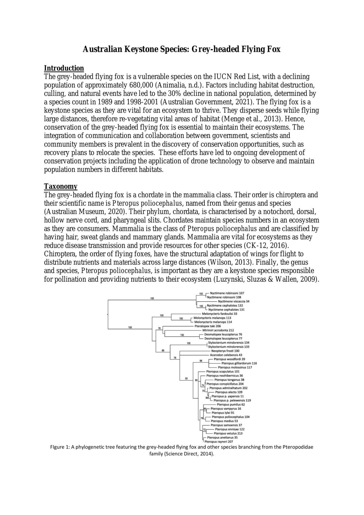 SHE Task - Keystone Species | Biology - Year 11 SACE | Thinkswap