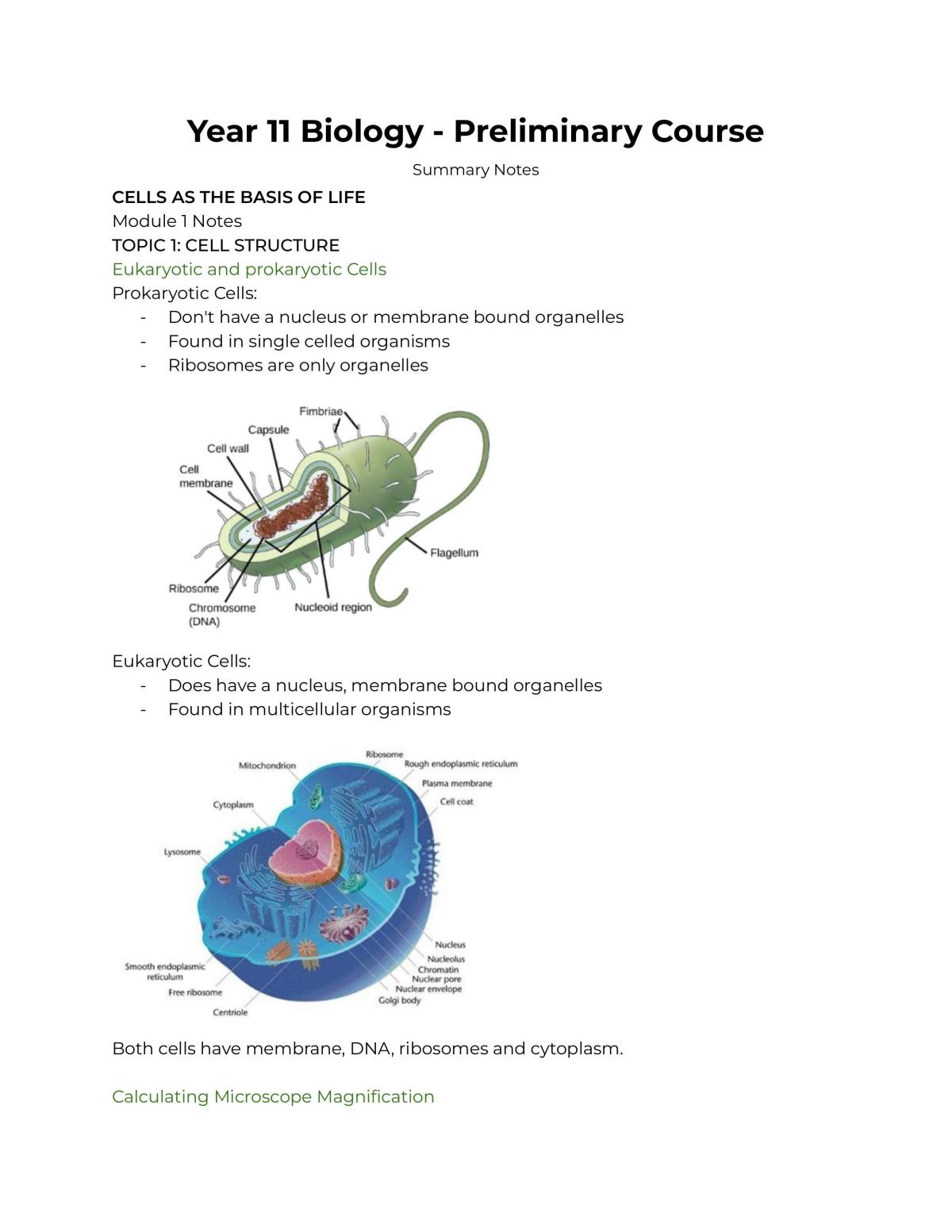 Year 11 Biology Preliminary Course Biology Year 11 Hsc Thinkswap 3125