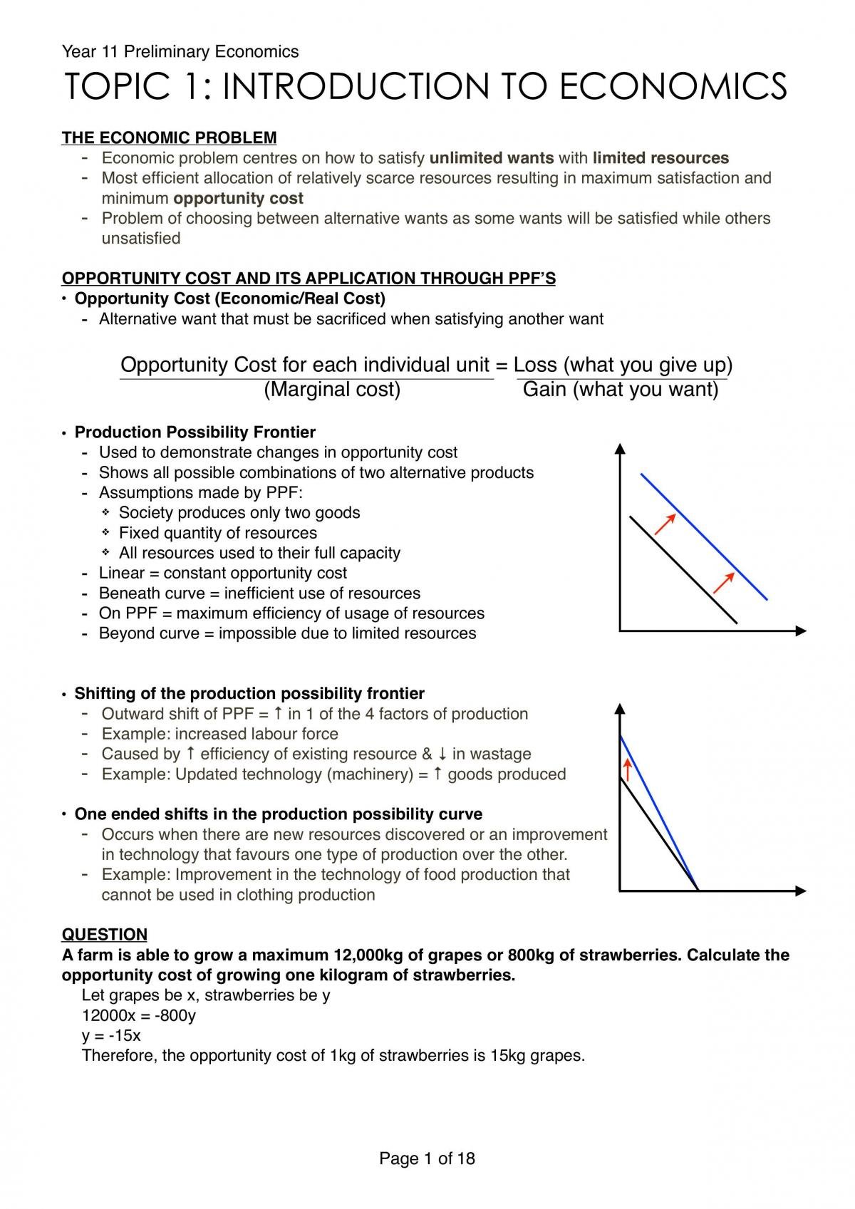 economics assignment topics