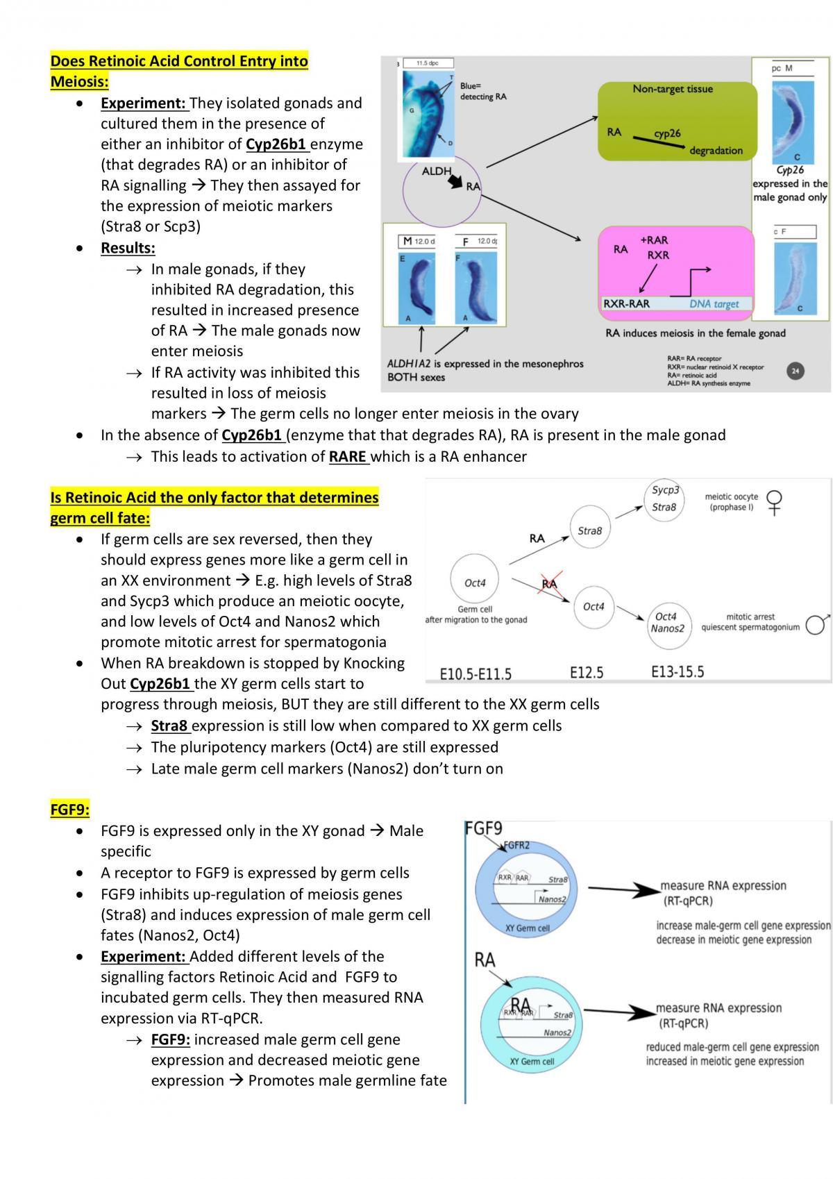 developmental biology assignment topics