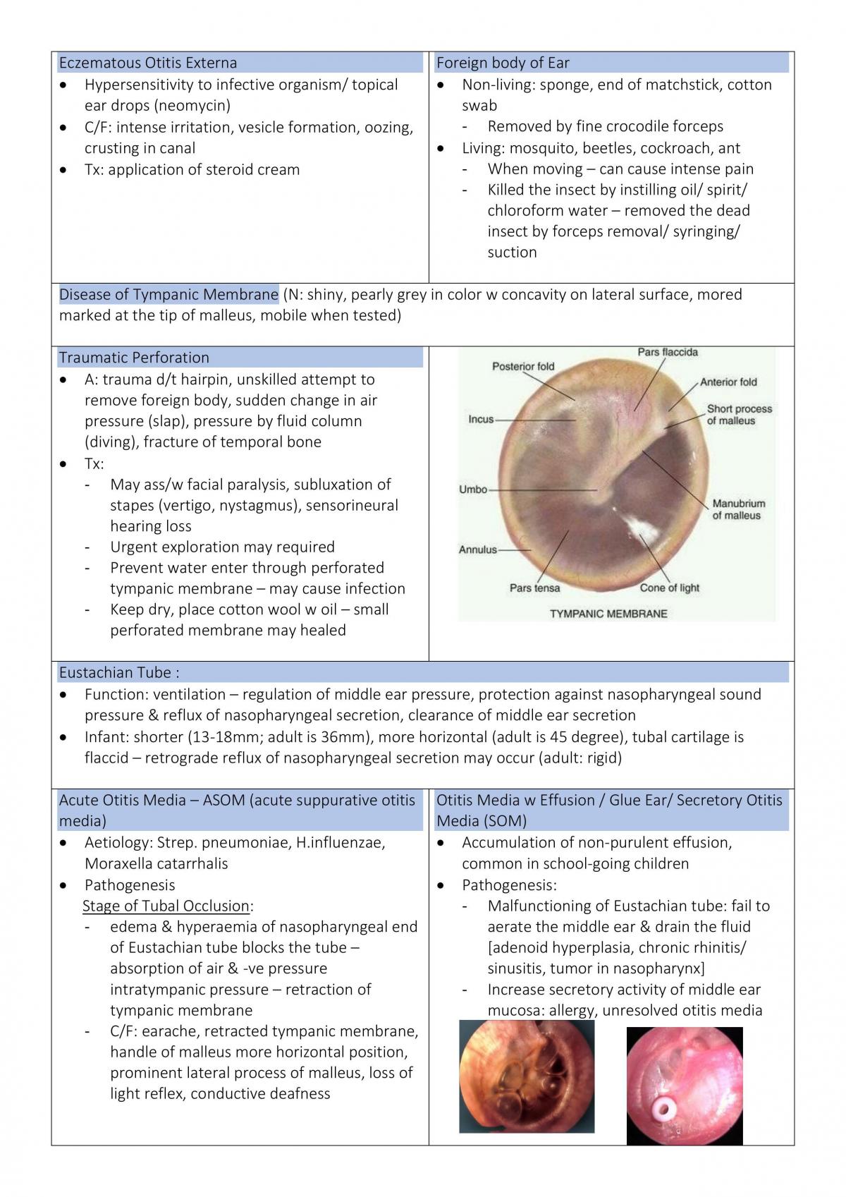 Basic Otorhinolaryngology Notes Ment 6472 Otorhinolaryngology