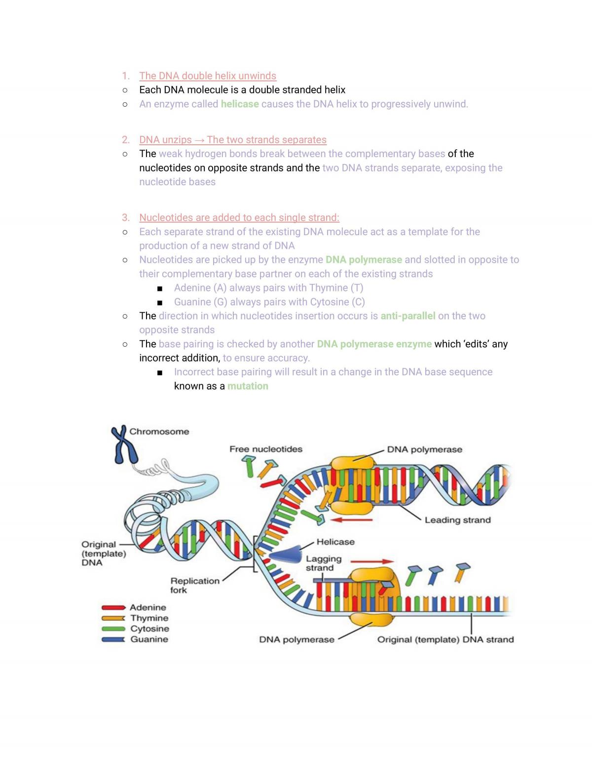 Full Hsc Biology Notes Year 12 Thinkswap Module 5 Heredity Complete Topic Vrogue 