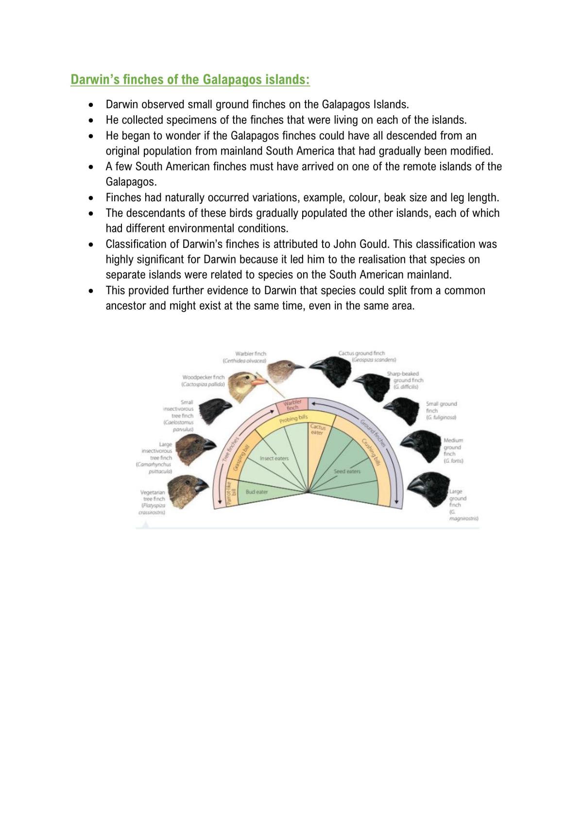 Porcupine DNA answers prickly question