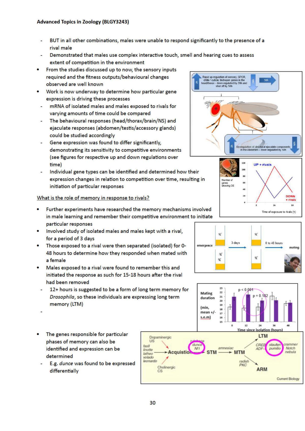 phd thesis topics in zoology