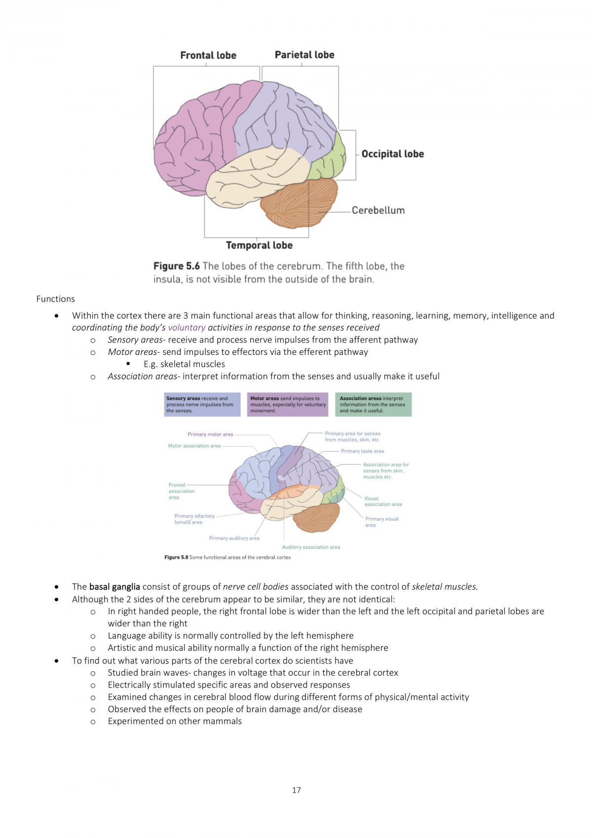 Human Biology Chapters 2-6 Notes | Human Biology - Year 12 WACE