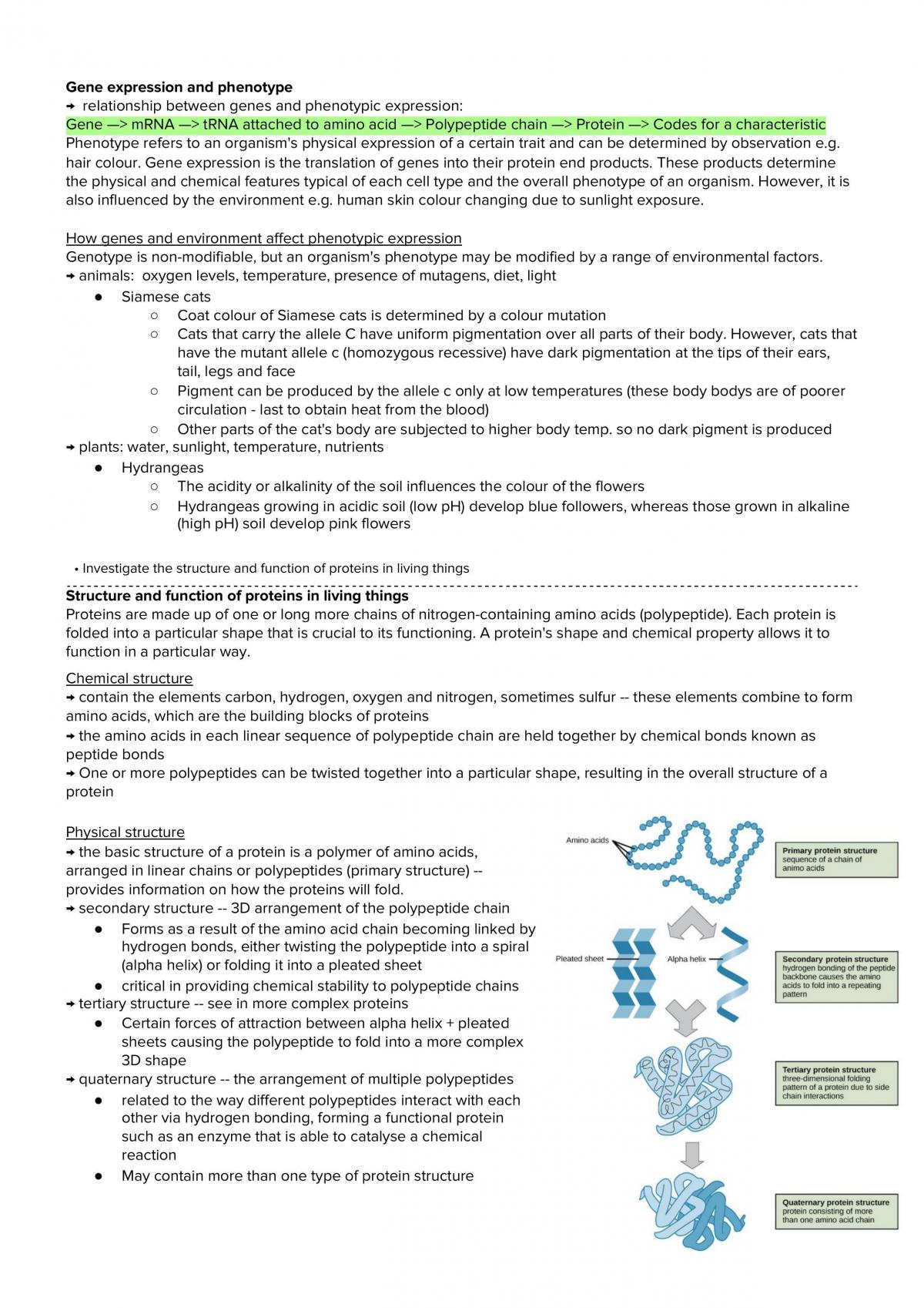 Module 5 Heredity Biology Year 12 Hsc Thinkswap 