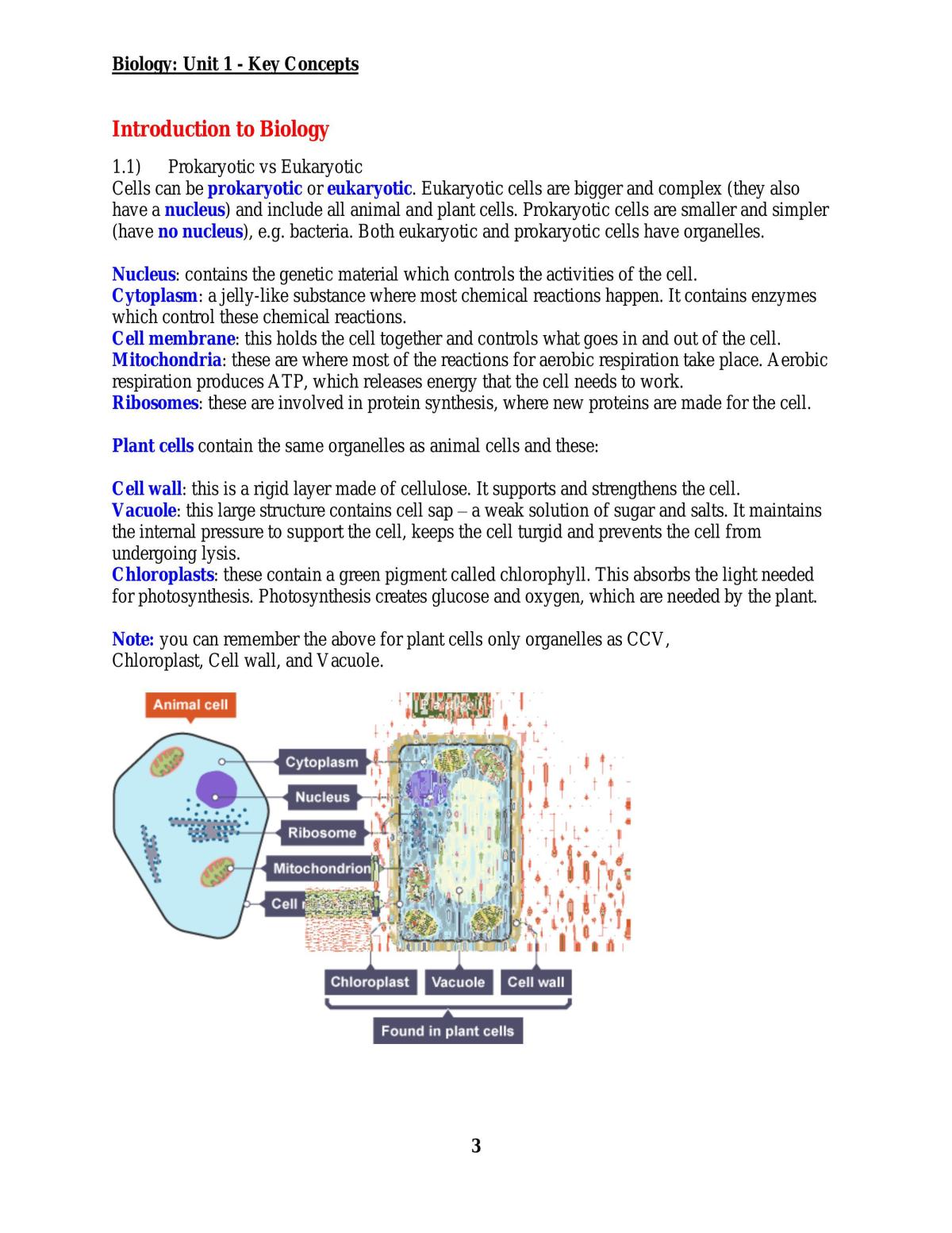 Very Detailed Notes For Biology Biology Higher Gcse Edexcel Thinkswap