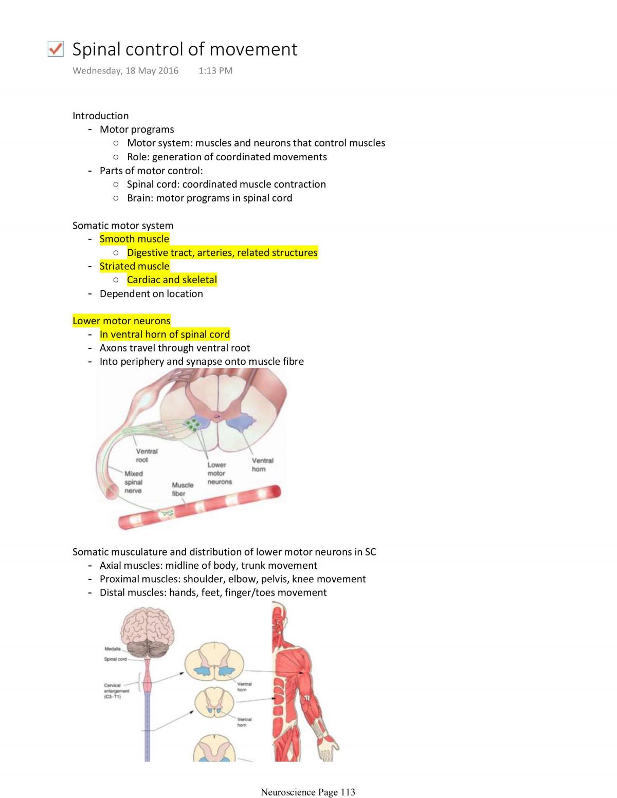 — Phantom Forces - (REALLY OP) SYNPASE X VERSION EHUB